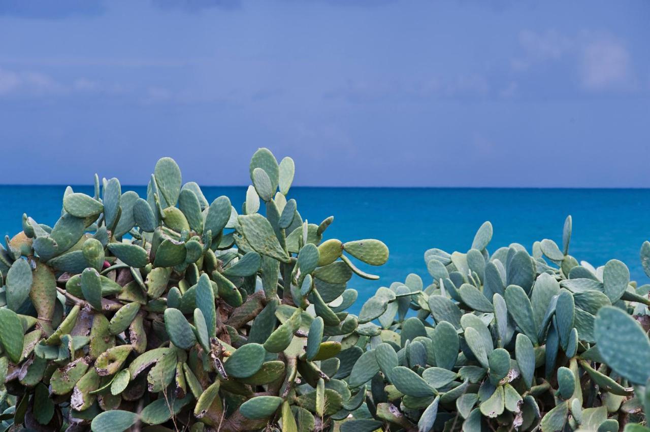 La Terrazza Di Puglia Διαμέρισμα Κονβερσάνο Εξωτερικό φωτογραφία